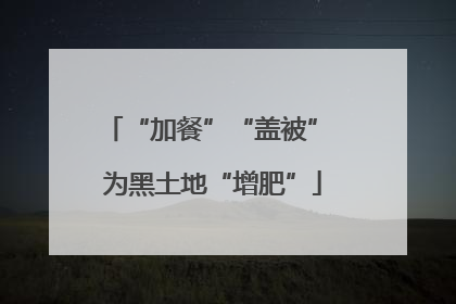 “加餐”“盖被” 为黑土地“增肥”